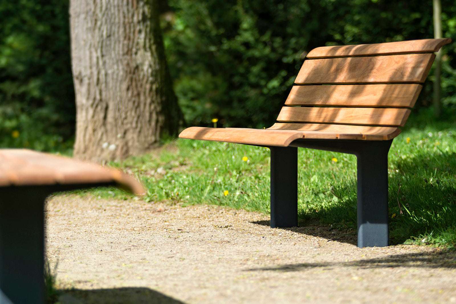 Eine Holzbank mit Metallbeinen steht auf einem Waldweg, umgeben von grünem Gras und Bäumen im Sonnenlicht.
