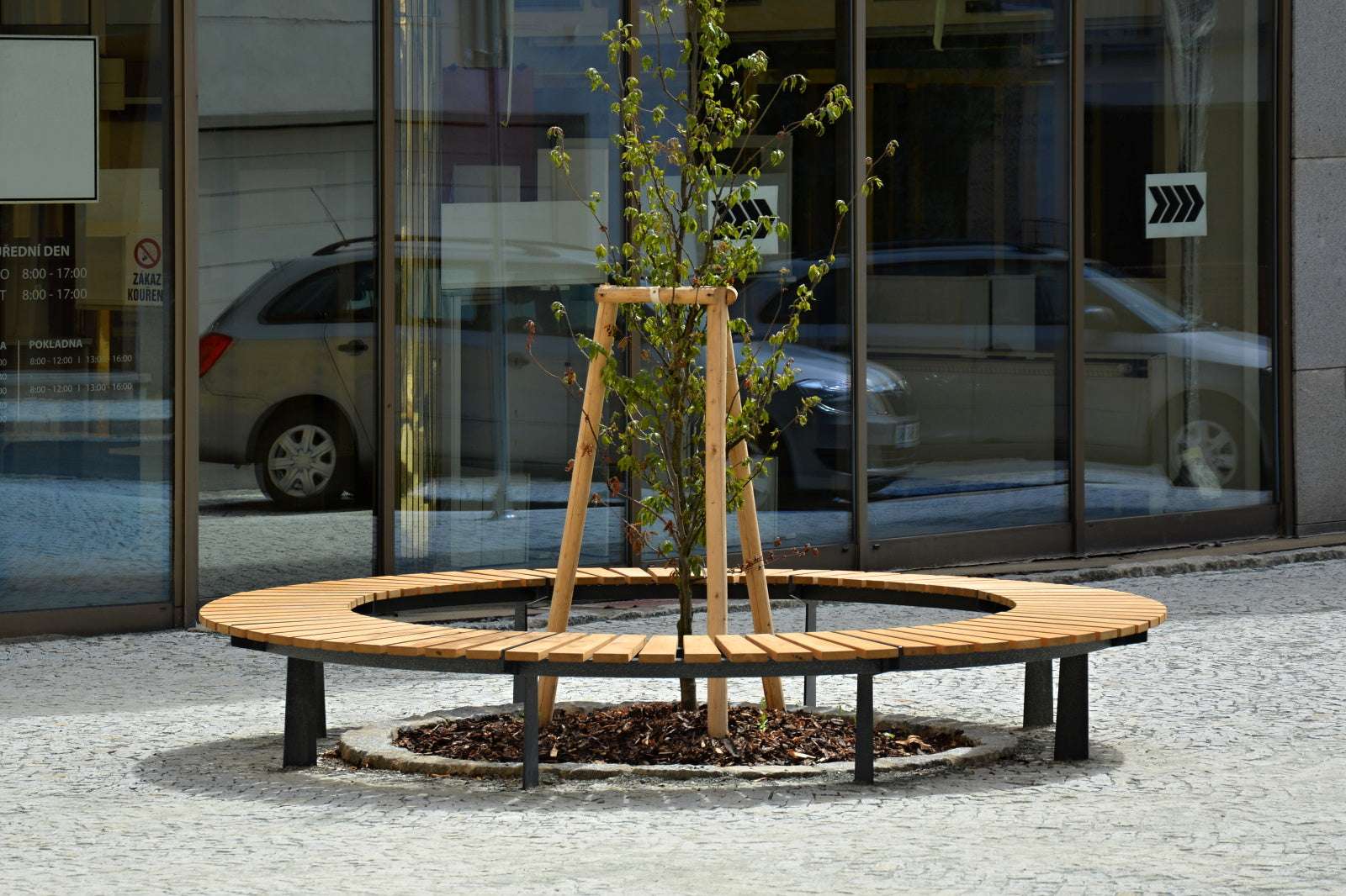 Ein runder Holzbankring umgibt einen jungen Baum auf einem gepflasterten Platz vor einem modernen Gebäude mit Glasfassade.