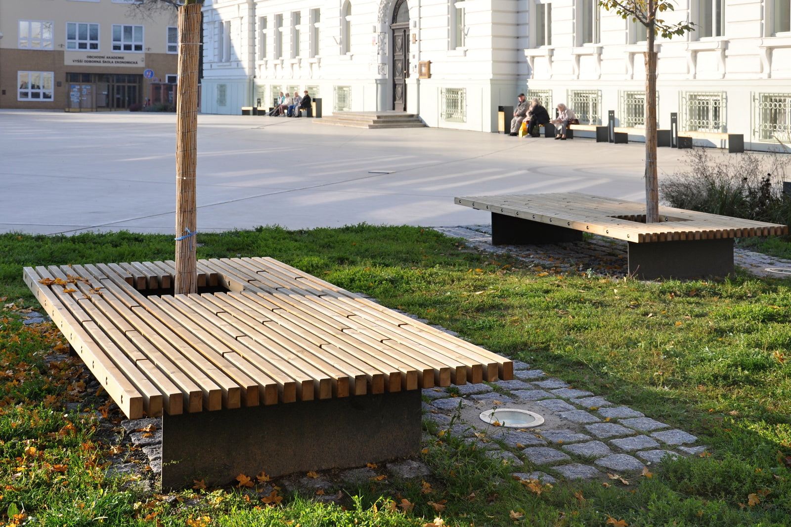 Moderne Holzbank mit Baumausschnitt auf grünem Platz vor historischem Gebäude.